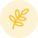 解决方案
