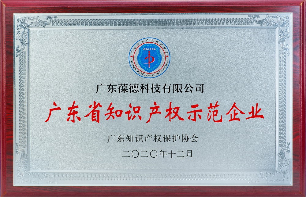 广东知识产权示范企业
