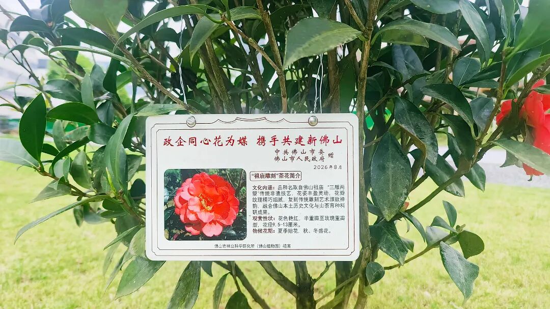 政企交流座谈会现场