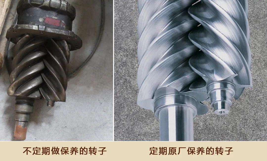 虎气满满,强大动力,开年保养很有必要!