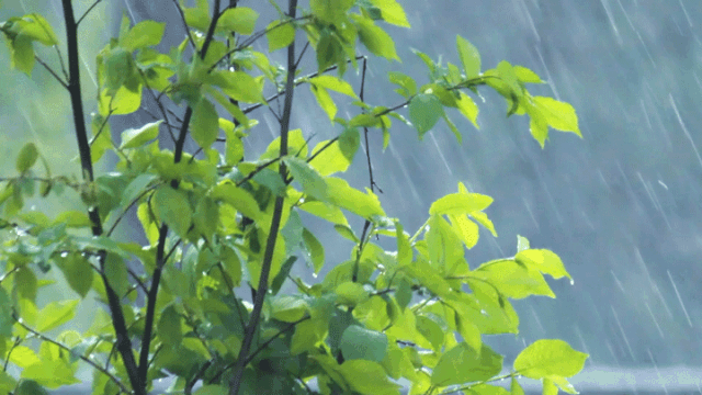 梅雨季必备之空压机、空压站的防雨防潮攻略