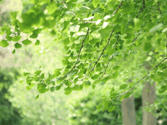 小暑大暑，空压机预防中暑，葆德有“凉”方！