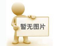 金科产文教卫共融 齐建粤港澳大湾区